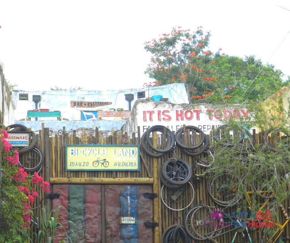 Animal Kingdom Harambe Market Village with Bike Wheels everywhere