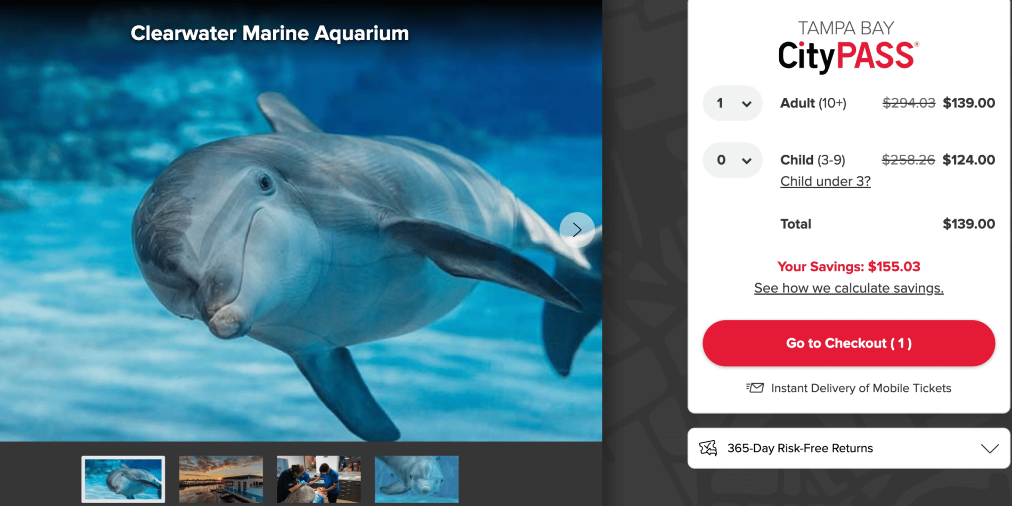 7 Fun Things to Do in Tampa with CityPASS (2024) ThemeParkHipster