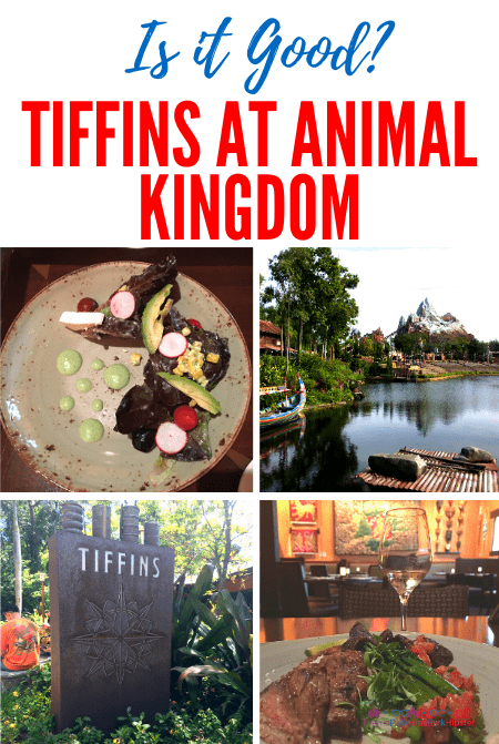 FULL REVIEW: Tiffins Restaurant at Animal Kingdom - ThemeParkHipster
