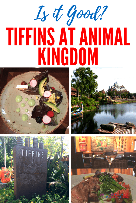 Tiffins Restaurant at Animal Kingdom
