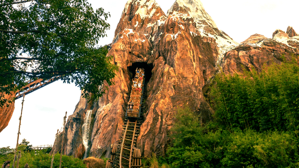 Animal Kingdom Expedition Everest. One of the best thrill rides at Disney World.