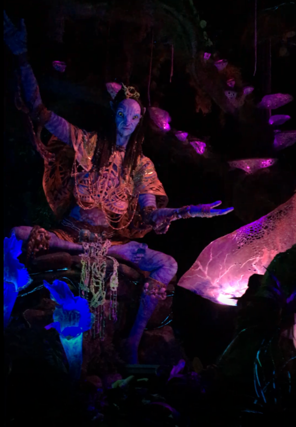 Shaman on Avatar Ride at Disney Animal Kingdom. One of the best animal kingdom rides.