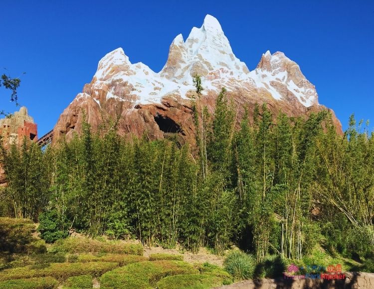 Animal Kingdom Expedition Everest