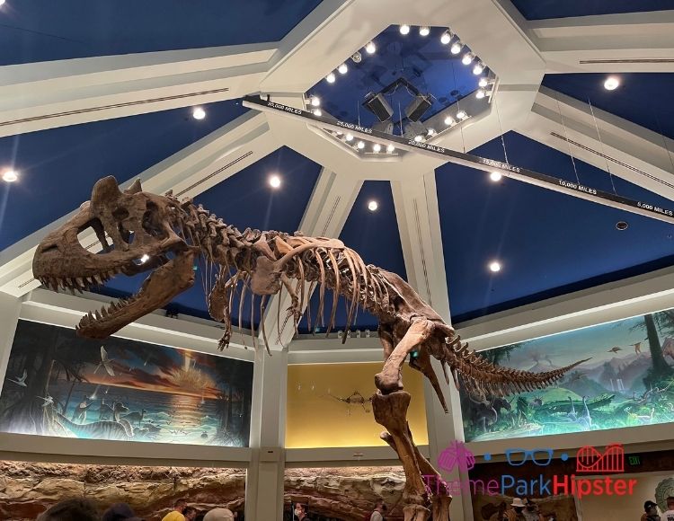 5 BEST Animal Kingdom Rides for Solo Travelers (2023) - ThemeParkHipster 5 BEST Animal Kingdom Rides for Solo Travelers (2023) - ThemeParkHipster