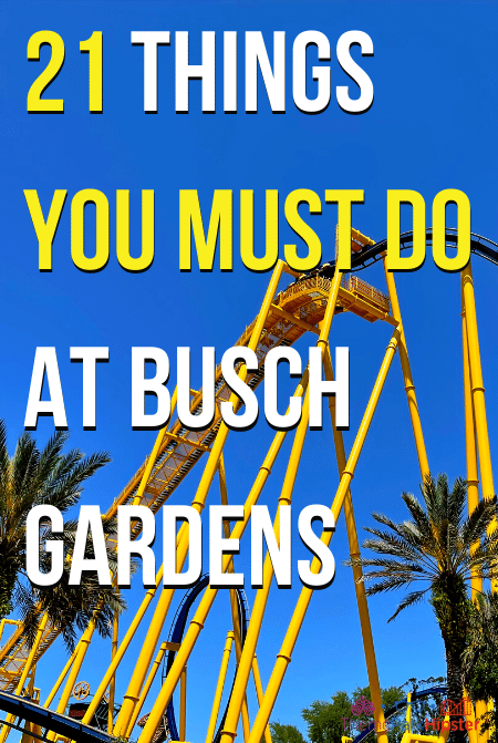 21 Things You Must Do at Busch Gardens