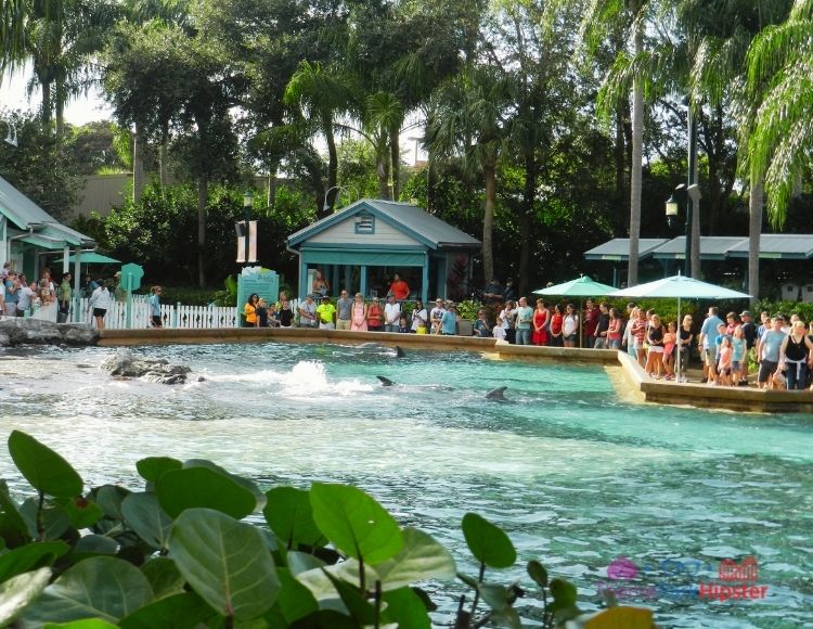 SeaWorld Dolphin Cove in Key West. Keep reading to learn more about the best SeaWorld Orlando restaurants.