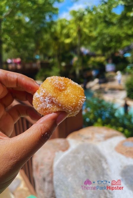 Mini Donut at Blizzard Beach Water Park. Keep reading to see what's the best Disney water park in our Typhoon Lagoon vs Blizzard Beach guide!
