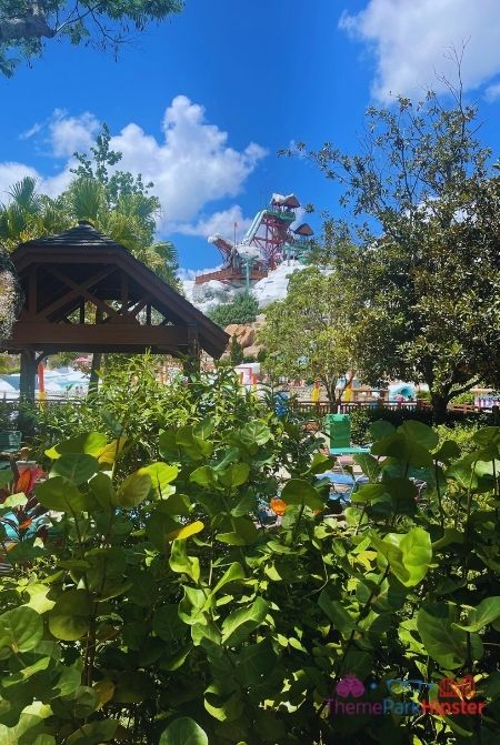 Tall Water Slide Summit Plummet at Blizzard Beach Water Park. Keep reading for the best Disney World Tips and Tricks for First Timers.