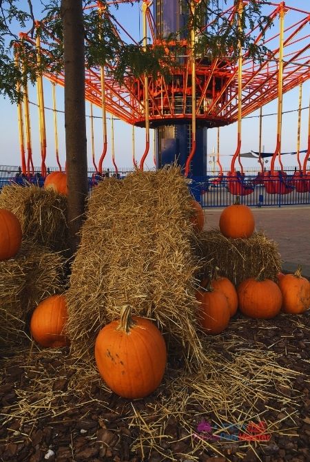 Cedar Point Halloweekends Windseeker ride with pumpkins