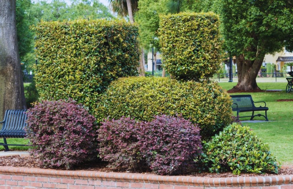 Winter Park Florida