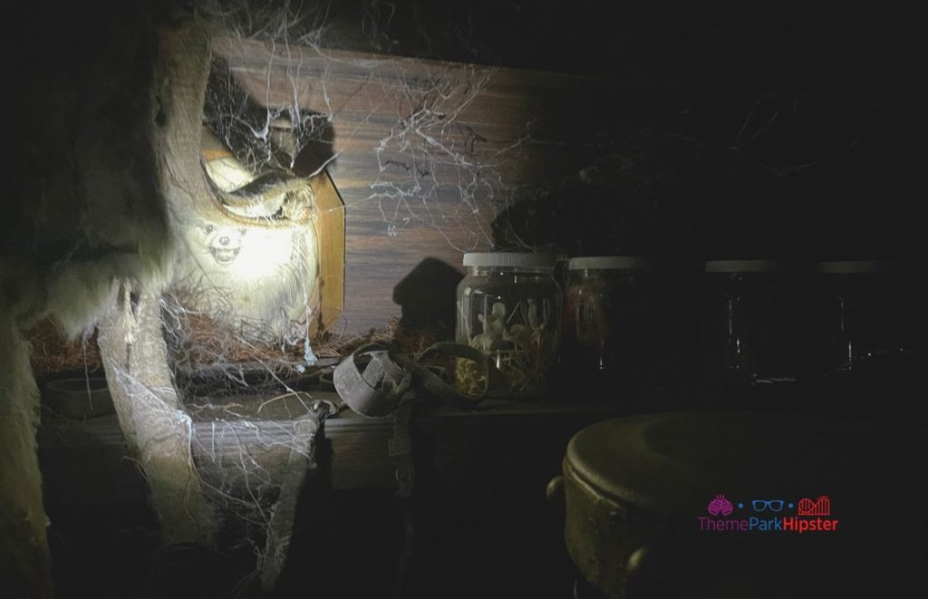 Case Files Unearthed Legendary Truth HHN 30 Unmasking the Horror Tour Pomeranian Photo Universal Hidden Gem