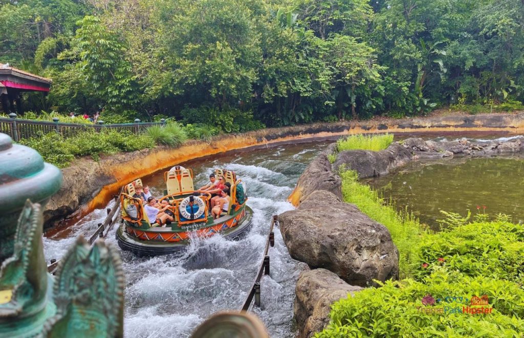 Kali River Rapids Water Ride Animal Kingdom and one of the best Disney world park for adults.