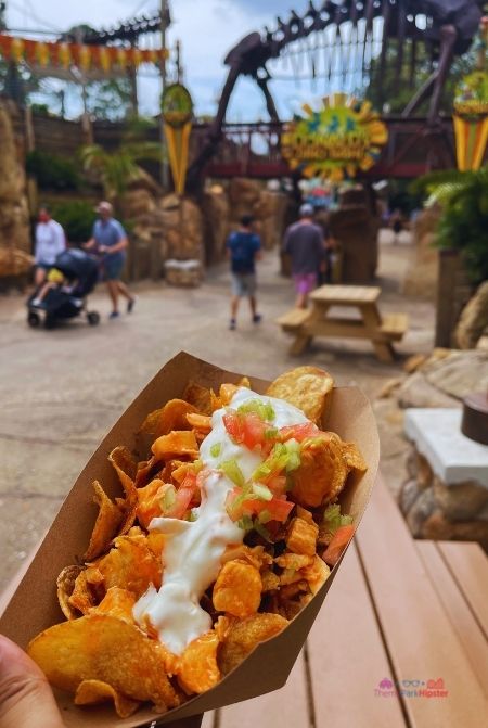 Trilo Bites Animal Kingdom Loaded Buffalo Chicken Chips in front of Dinoland USA. Keep reading to get the best Disney Christmas treats and desserts on this foodie guide.