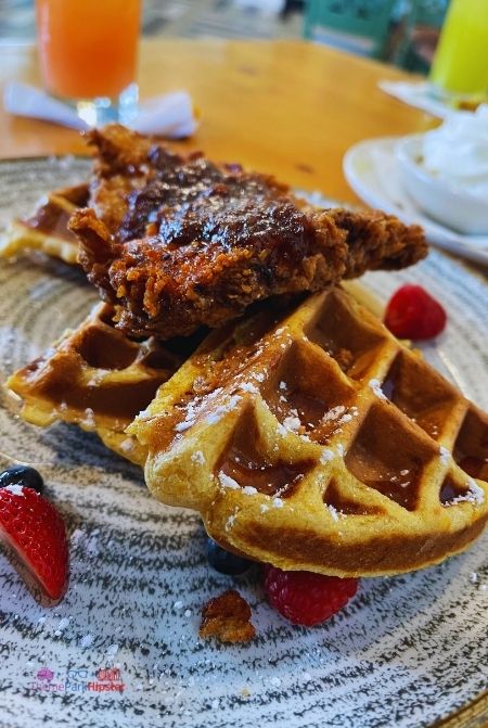 Olivia's Cafe at Disney Chicken and Waffle Brunch. Keep reading to learn how to do Thanksgiving Day at Disney World.