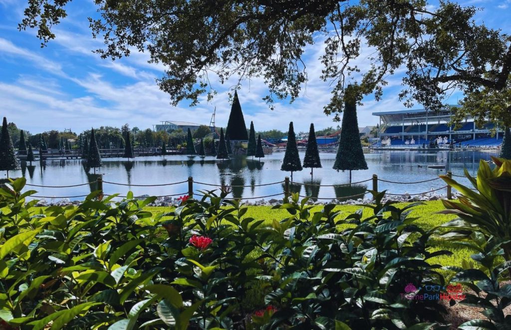SeaWorld Christmas Celebration Sea of Trees. Keep reading to learn more about the special events at SeaWorld Orlando. 