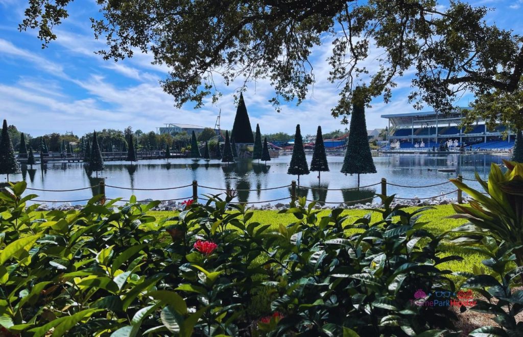 SeaWorld Christmas Celebration Sea of Trees. Keep reading to learn about Christmas at SeaWorld Orlando!