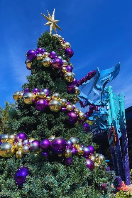 SeaWorld Christmas Celebration gold and purple christmas tree next to Shark Encounter. Keep reading to learn how to avoid with SeaWorld wait times with quick queue skip the line pass.