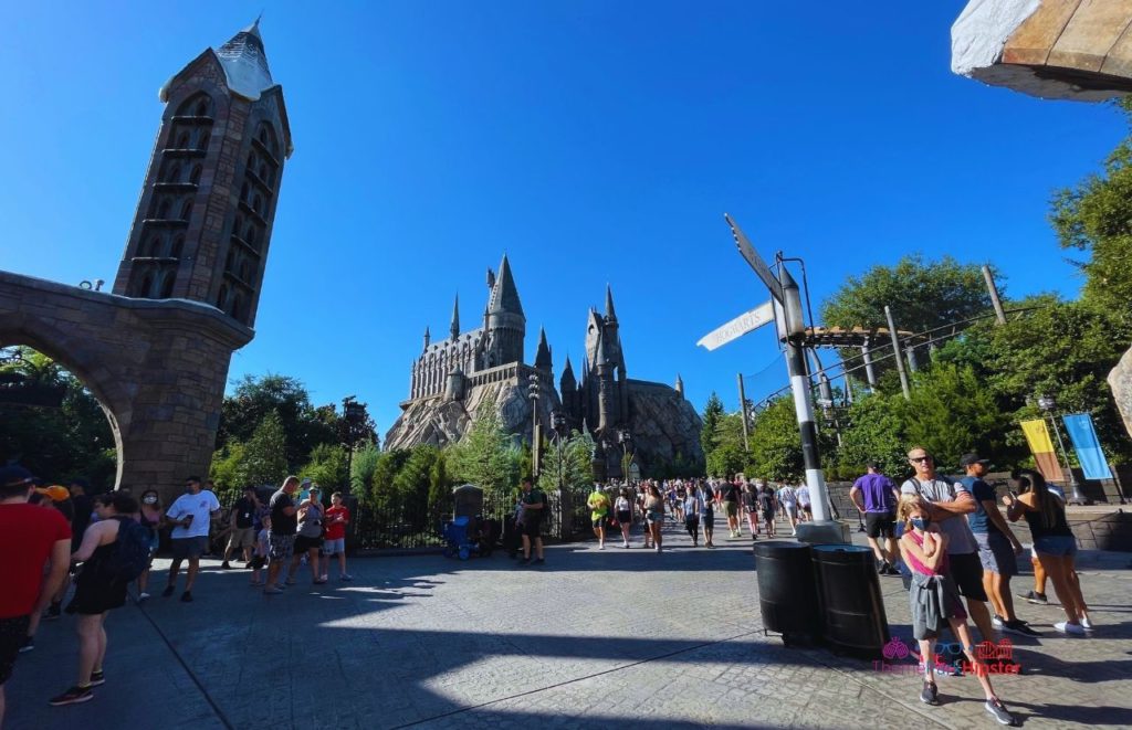 Hogwarts Castle Wizarding World of Harry Potter. Keep reading to learn how to get chosen for a wand at Ollivanders Wand Shop in Universal at The Wizarding World of Harry Potter.