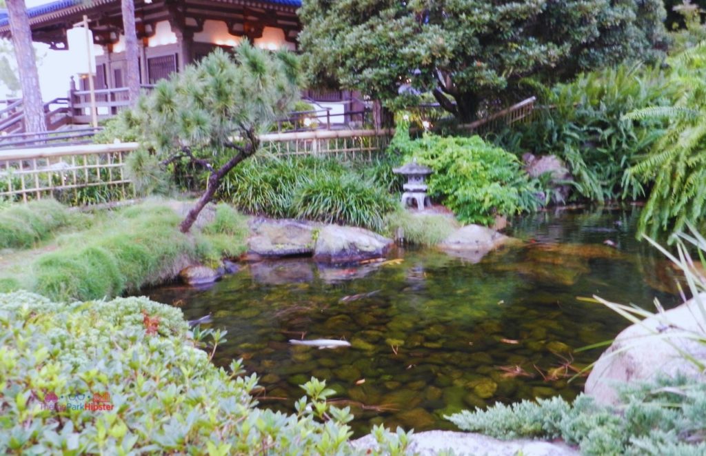 Japan Pavilion at Epcot Koi Pond and Garden