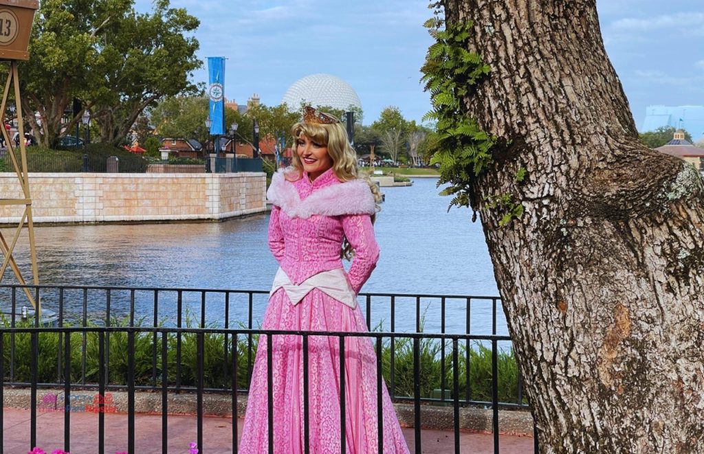 Princess Aurora from Sleeping Beauty at Disney Epcot. Keep reading to learn where to find cheap Disney World tickets and discounts.