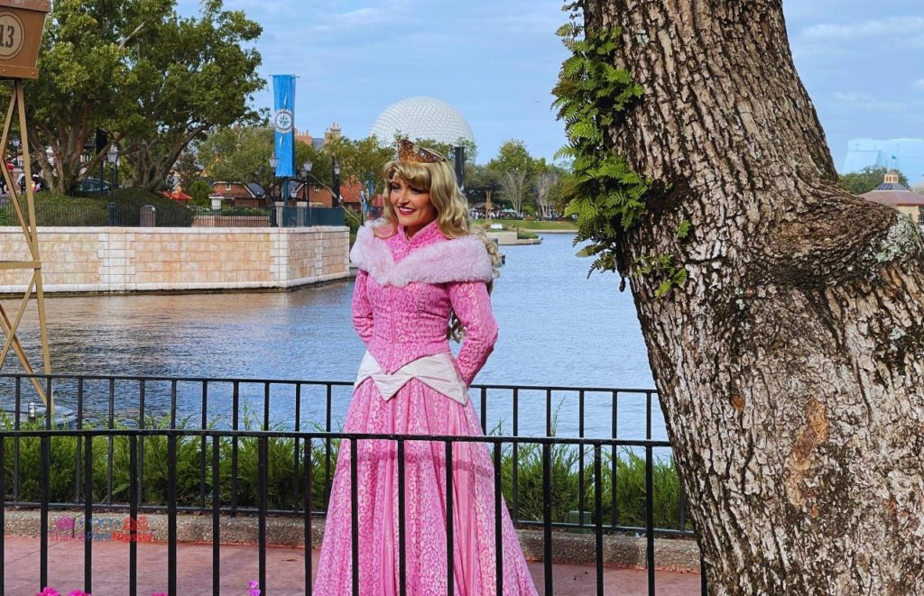 Princess Aurora from Sleeping Beauty at Disney Epcot France Pavilion. Keep reading to know what to do in every country in the Epcot Pavilions of World Showcase.