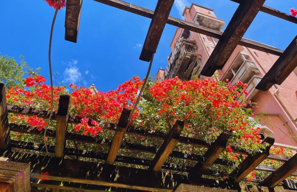 Outdoor garden in Hollywood Studios Twilight Zone Tower of Terror Disney World.