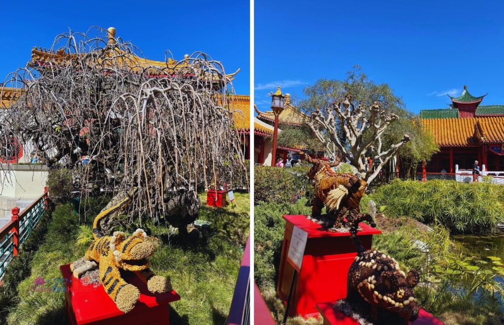 Epcot China Pavilion Zodiac Topiary Sculpture Year of Tiger Bull and Pig. Keep reading to see what is new for the Epcot Flower and Garden Festival 2024.