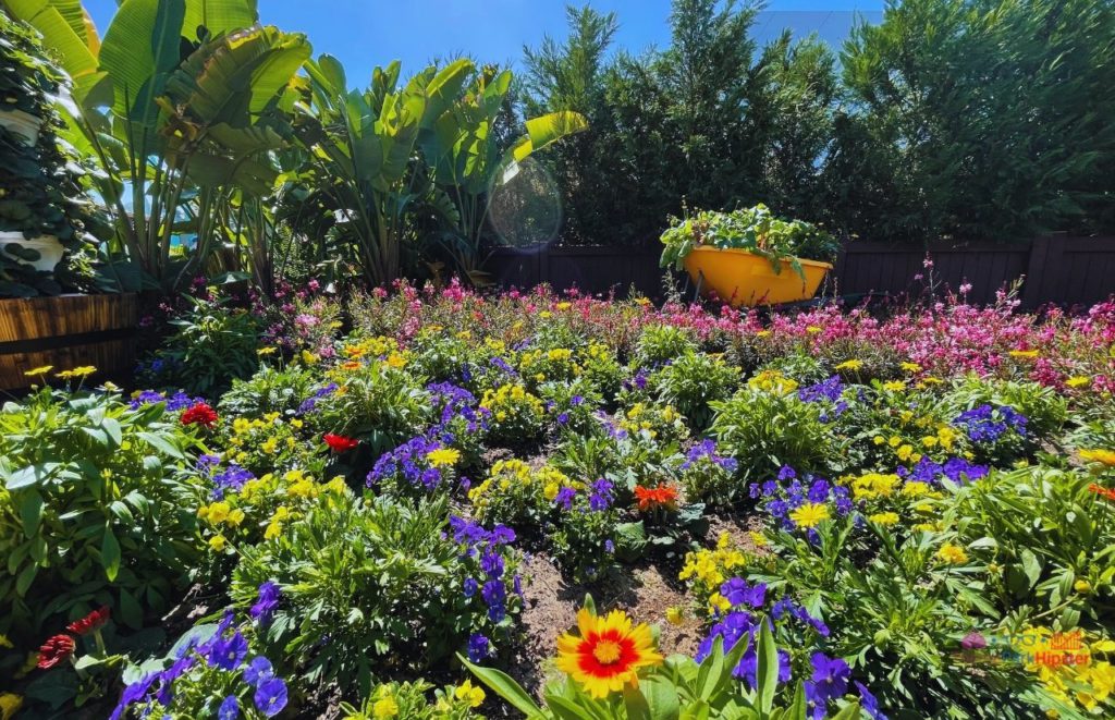 Epcot Flower and Garden Festival Colorful Garden display. Keep reading to get the best things to do at Epcot Flower and Garden Festival.