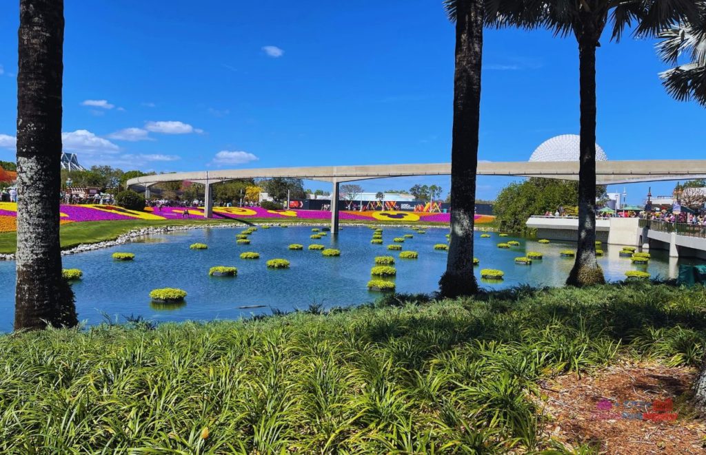 Epcot Flower and Garden Festival Garden area near monorail overlooking Spaceship Earth. Keep reading to see what is new for the Epcot Flower and Garden Festival 2024.