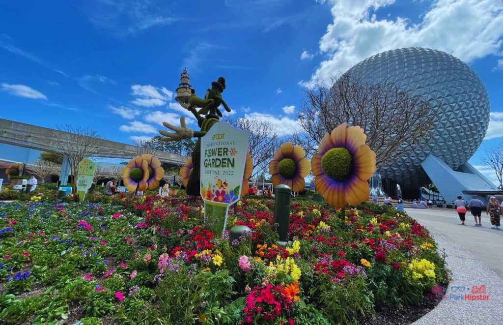 Epcot Flower and Garden Festival Goofy with 50th Anniversary Cake in front of Spaceship Earth