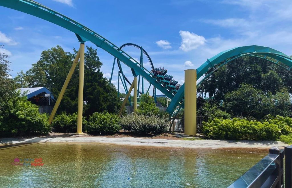 SeaWorld Orlando Resort Solo Trip Kraken Rollercoaster going over the hill