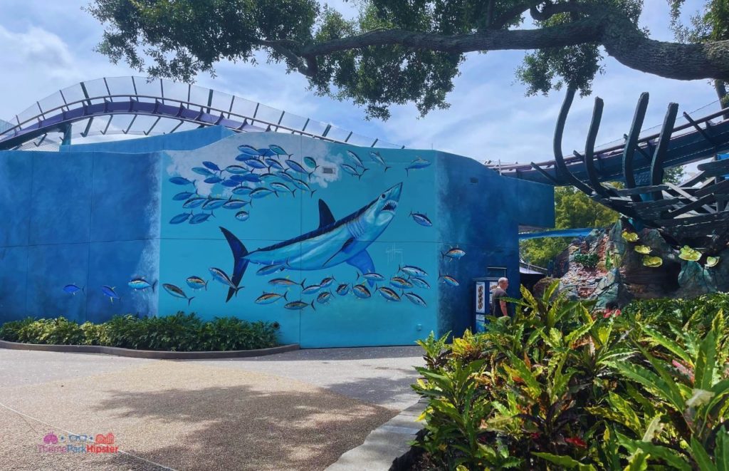 SeaWorld Orlando Mako Roller Coaster Mural with Shark. Keep reading to get the best rides at SeaWorld Orlando.