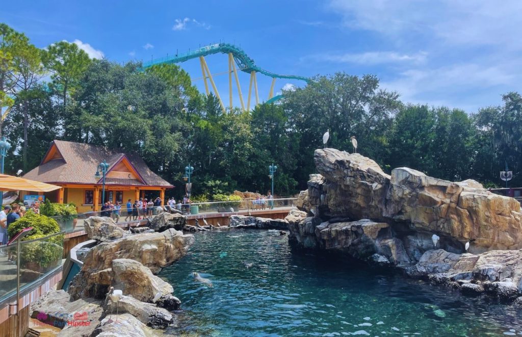 SeaWorld Orlando Pacific Point Sea Lions and Seals with Kraken Roller Coaster in the Background. Keep reading to learn how to have a Solo Trip to SeaWorld and how to travel alone with anxiety.