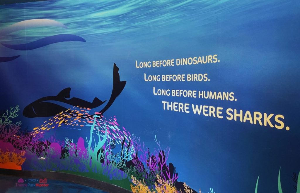 2024 SeaWorld Orlando Shark Encounter Mural Quote