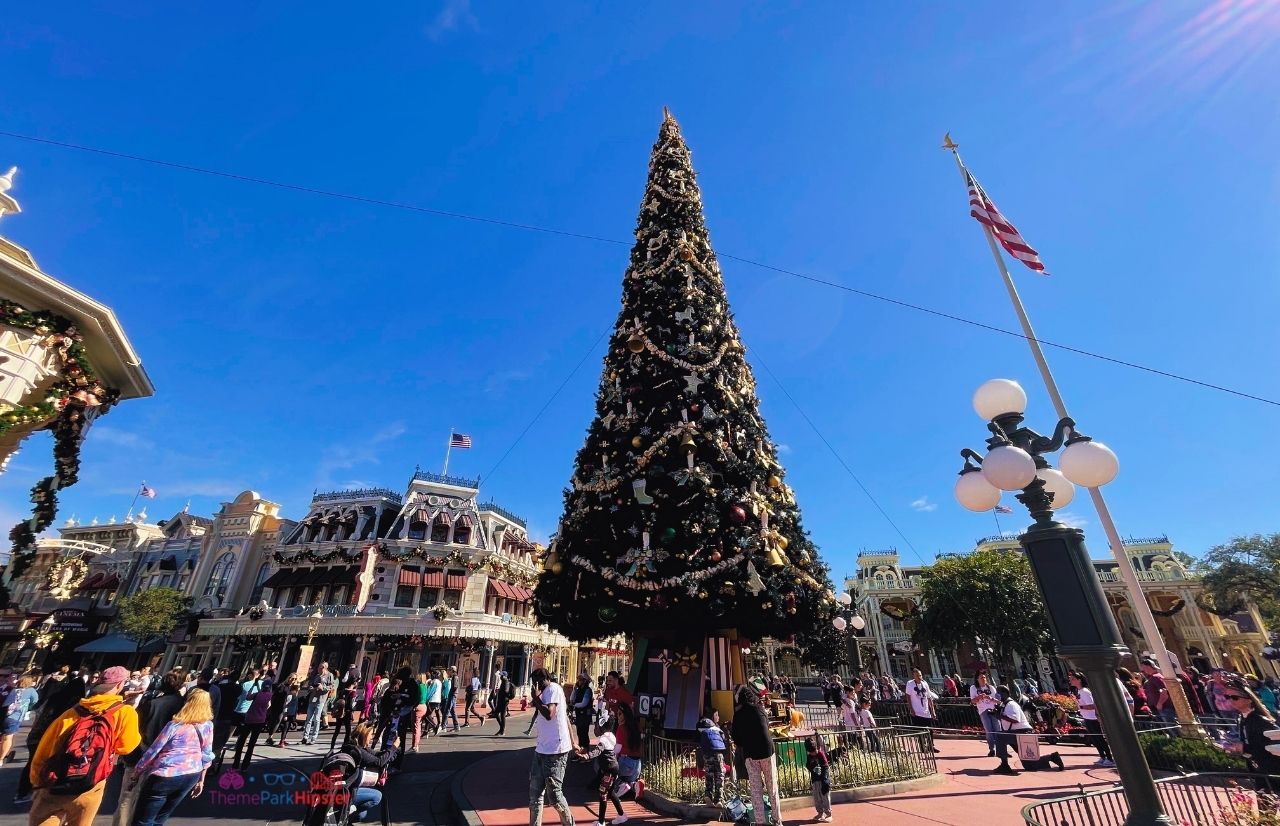 Disney Magic Kingdom Christmas tree in the Florida sun
