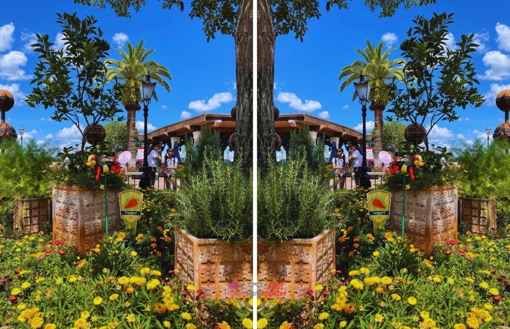 Epcot Flower and Garden Festival Pepper Garden. Keep reading for the best Epcot International Flower and Garden Festival tips!