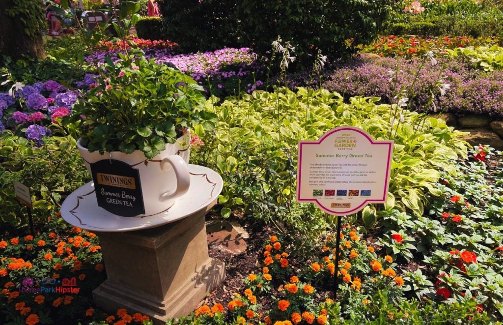 Epcot Flower and Garden Festival UK Pavilion Green Tea Garden. Keep reading to learn how to go to Epcot Flower and Garden Festival alone and how to have the perfect solo Disney World trip.