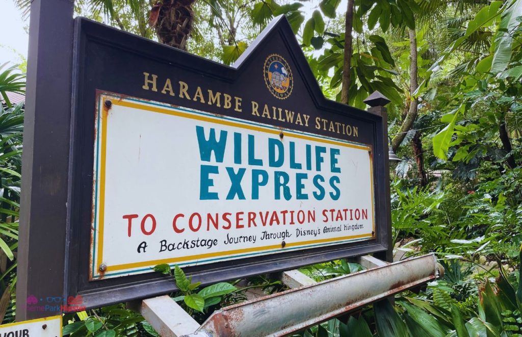 Rafiki's Planet Watch Conservation Station at Disney Animal Kingdom Harambe Railway Station Sign. Keep reading to get the best Animal Kingdom rides for solo travel to Disney World.
