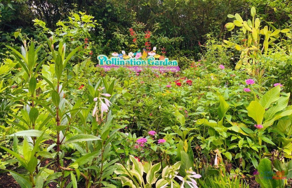 Rafiki's Planet Watch Conservation Station at Disney Animal Kingdom Pollination Garden