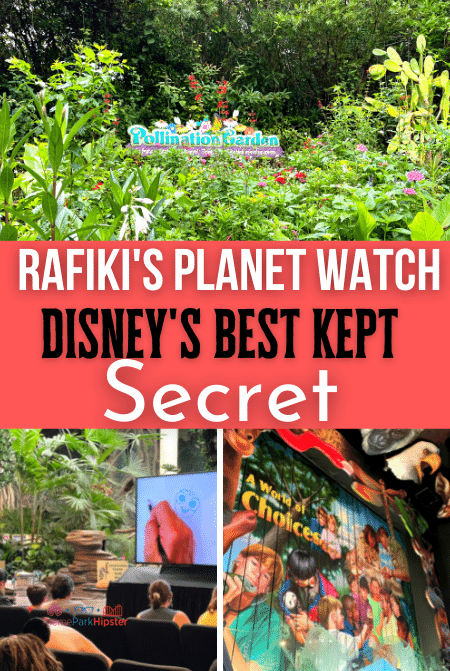 Rafiki's Planet Watch at Disney Animal Kingdom