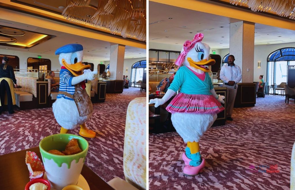 Topolino’s Terrace at Disney’s Riviera Resort Donald Duck and Daisy Duck at Character Dining