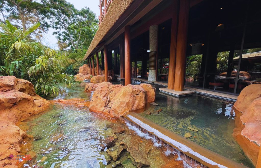 Animal Kingdom Lodge water area. Keep reading to learn about the best Animal Kingdom Lodge Restaurants.