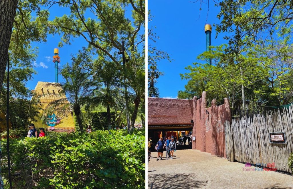 Busch Gardens Tampa Animal Care in an African inspired building structure surrounded by trees and foliage Center and Falcon's Fury in the background. Keep reading to learn more about the Busch Gardens Tampa animals. 