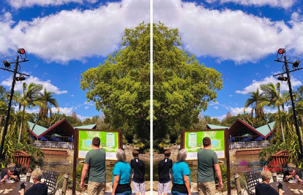 Busch Gardens Tampa Bay Beer House view. Keep reading to get the best days to go to Busch Gardens and to know how to use the Busch Gardens Crowd Calendar.