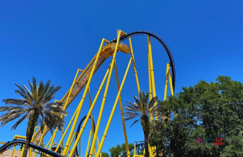 Busch Gardens Tampa Bay Blue and Yellow Montu Roller Coaster. Keep reading to get the full travel guide on the height restrictions and ride requirements at Busch Gardens Tampa.