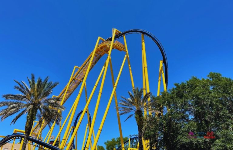 2023-busch-gardens-tampa-crowd-calendar-avoid-the-busy-days