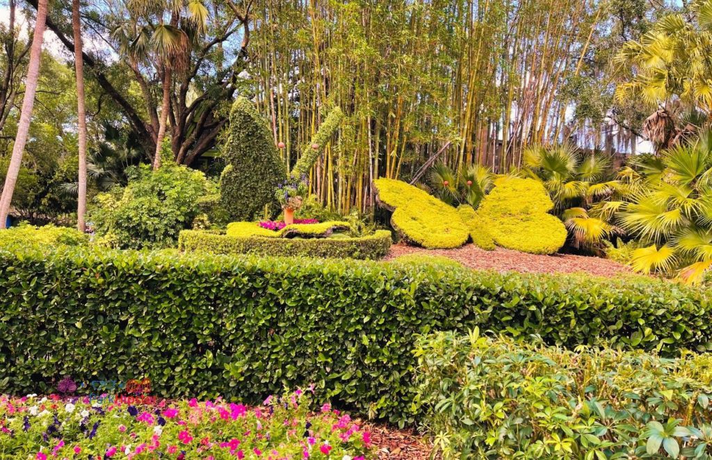 Busch Gardens Tampa Bay Butterfly topiary. One of the must do at Busch Gardens Tampa.