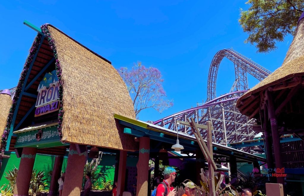 Busch Gardens Tampa Bay Iron Gwazi Roller Coaster in the background under the Florida sunshine and the entrance with theme park guests entering. Keep reading to find out more about the best hotels near Busch Gardens, Tampa.