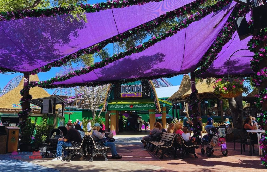 Busch Gardens Tampa Bay Iron Gwazi Sitting Area