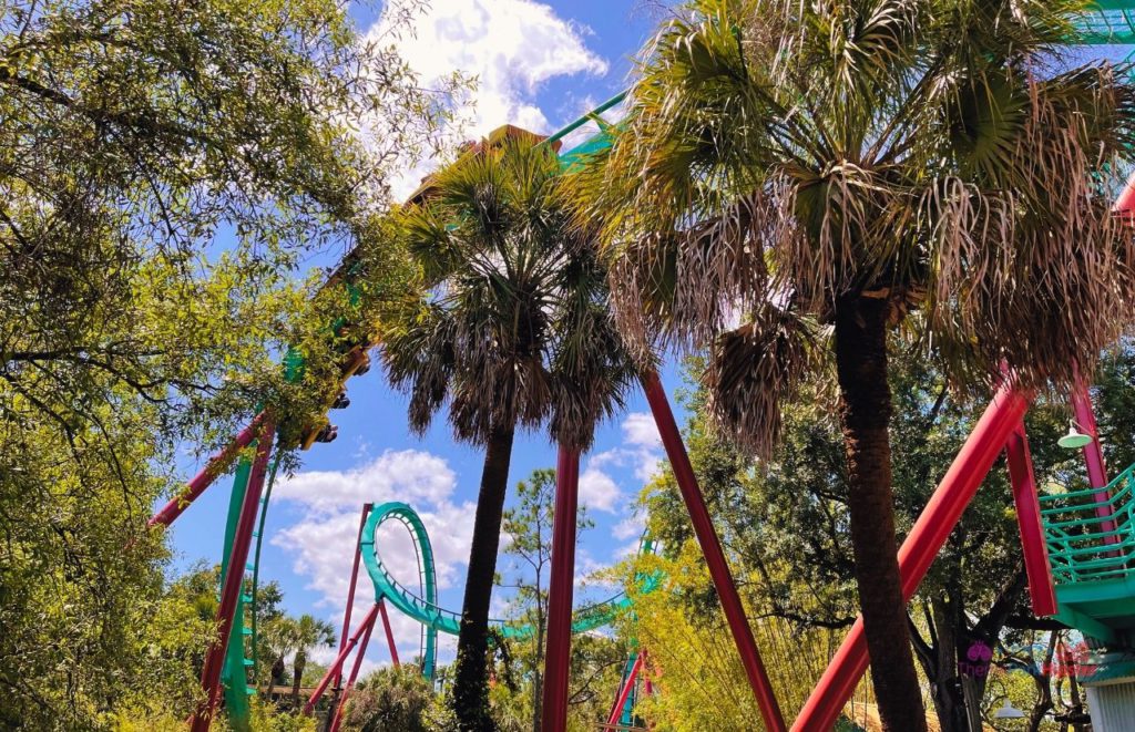 Busch Gardens Tampa Bay Kumba Roller Coaster. One of the must do at Busch Gardens Tampa.